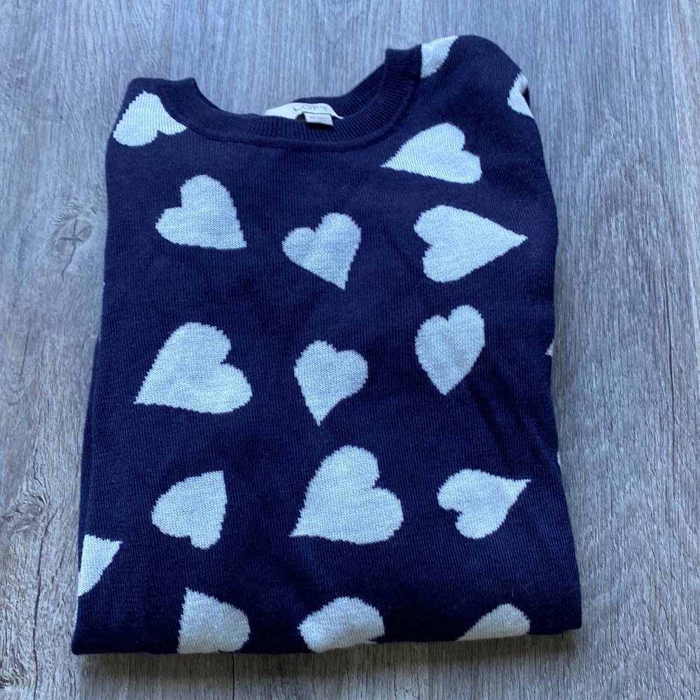 Ann Taylor Loft sweater